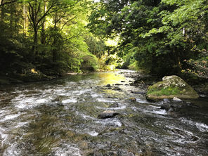 渓流魚の解禁日