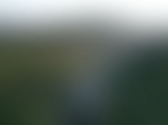 アユ漁業の自主規制について