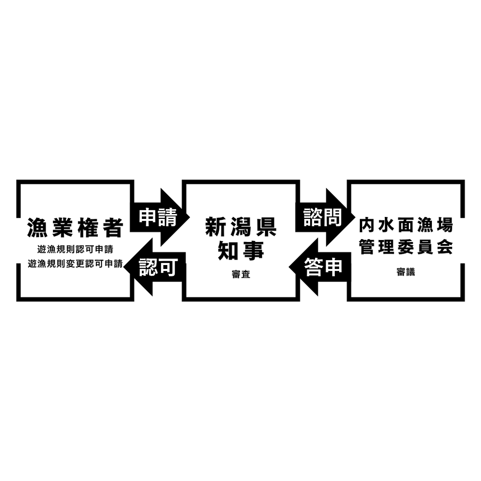 関係性よこ.png