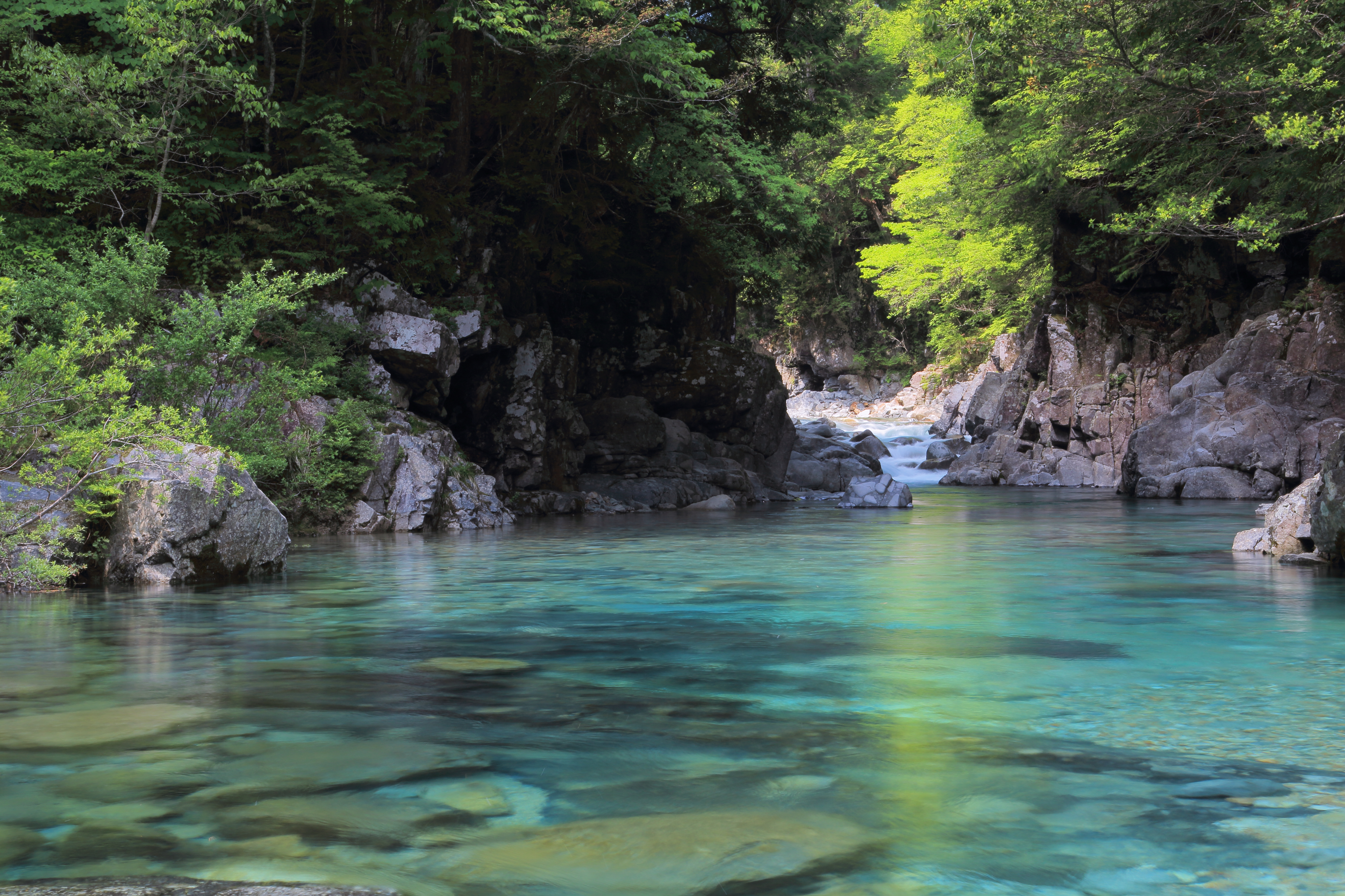 渓流 | 竹田川漁協 | 坂井市