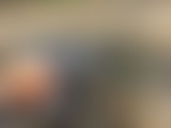 2回目のアマゴ放流