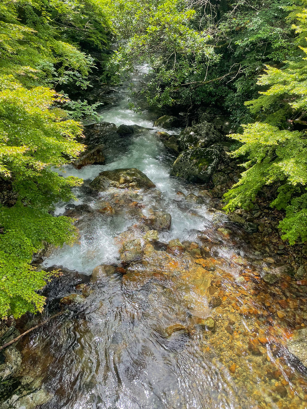 渓流