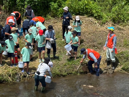 斐太北小学校の児童たちとアユの稚魚を放流しました
