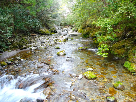 三重県内水面漁連です