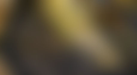 いよいよ4/1渓流魚とサクラマスが解禁となります