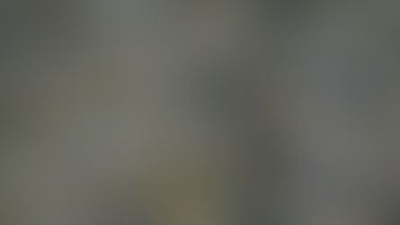 令和3年サクラマス稚魚2万尾放流