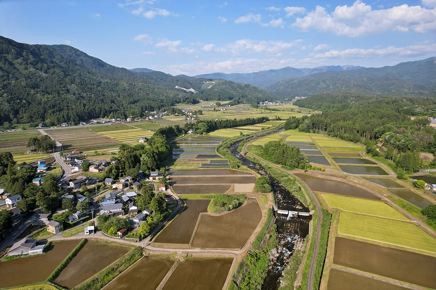 DJI_0955_news.jpg