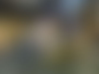 3月1日 放流いたしました