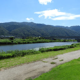 DSCN2676_ハス川.JPG