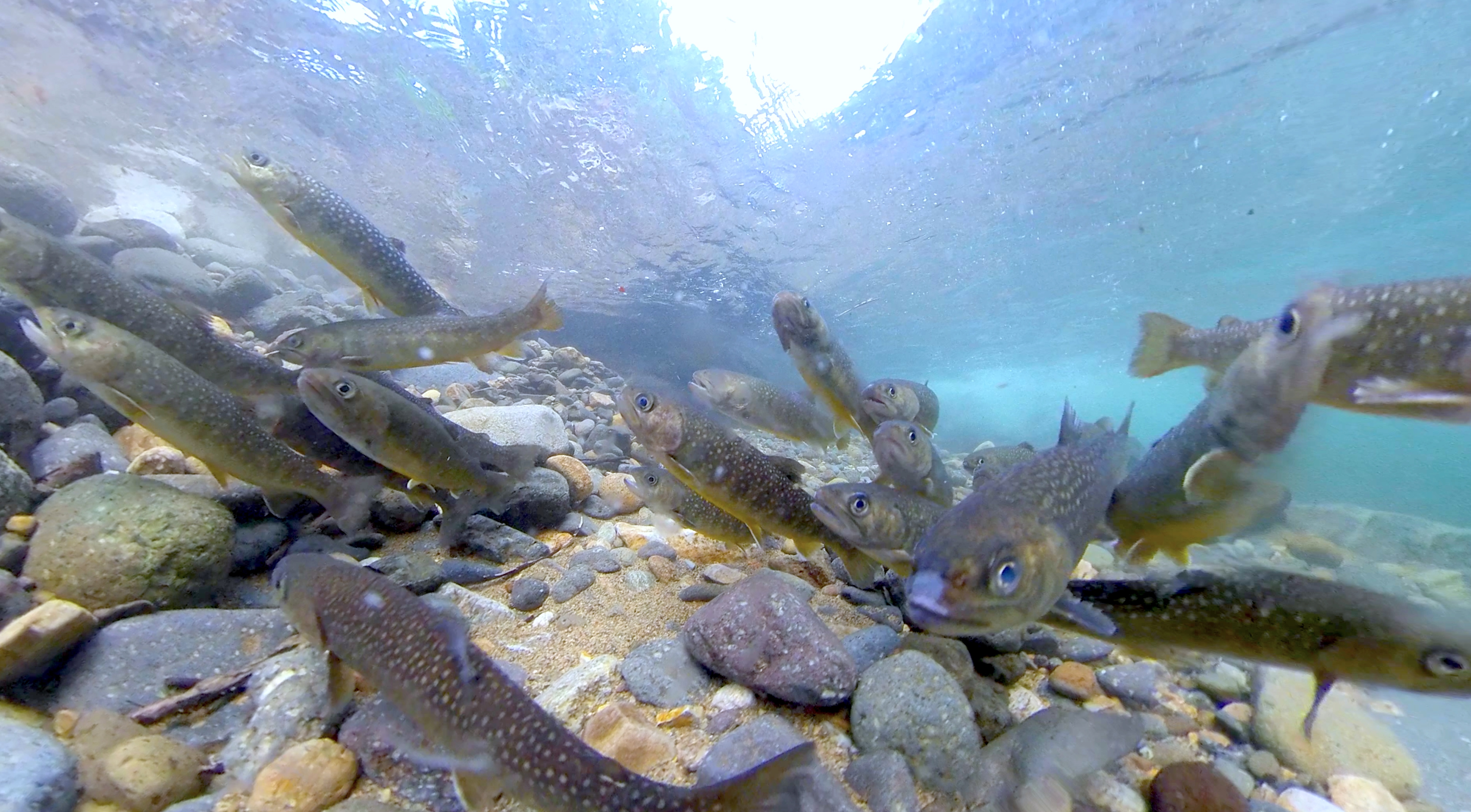 030e1a_db476d6a7c2f47cf932a8b3