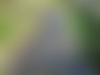 漁協だより