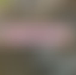 県南漁協からのお願いです