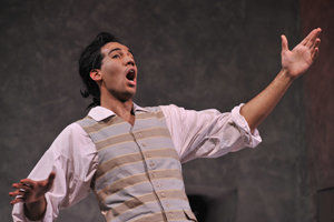 Figaro - Le Nozze di Figaro