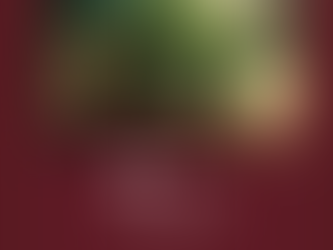 Citizens Business Bank Corporate Social Responsibility Report