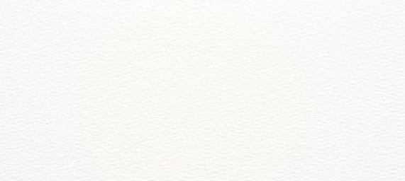 fond blanc site.png