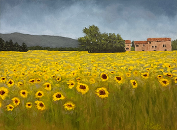 Sunflowers in the warmth of Italian light, held in peace and togetherness. A place of rest and worship in the ordinary.