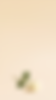 Test 2 landing page.png