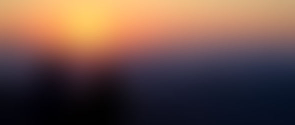 Beauty in Creation