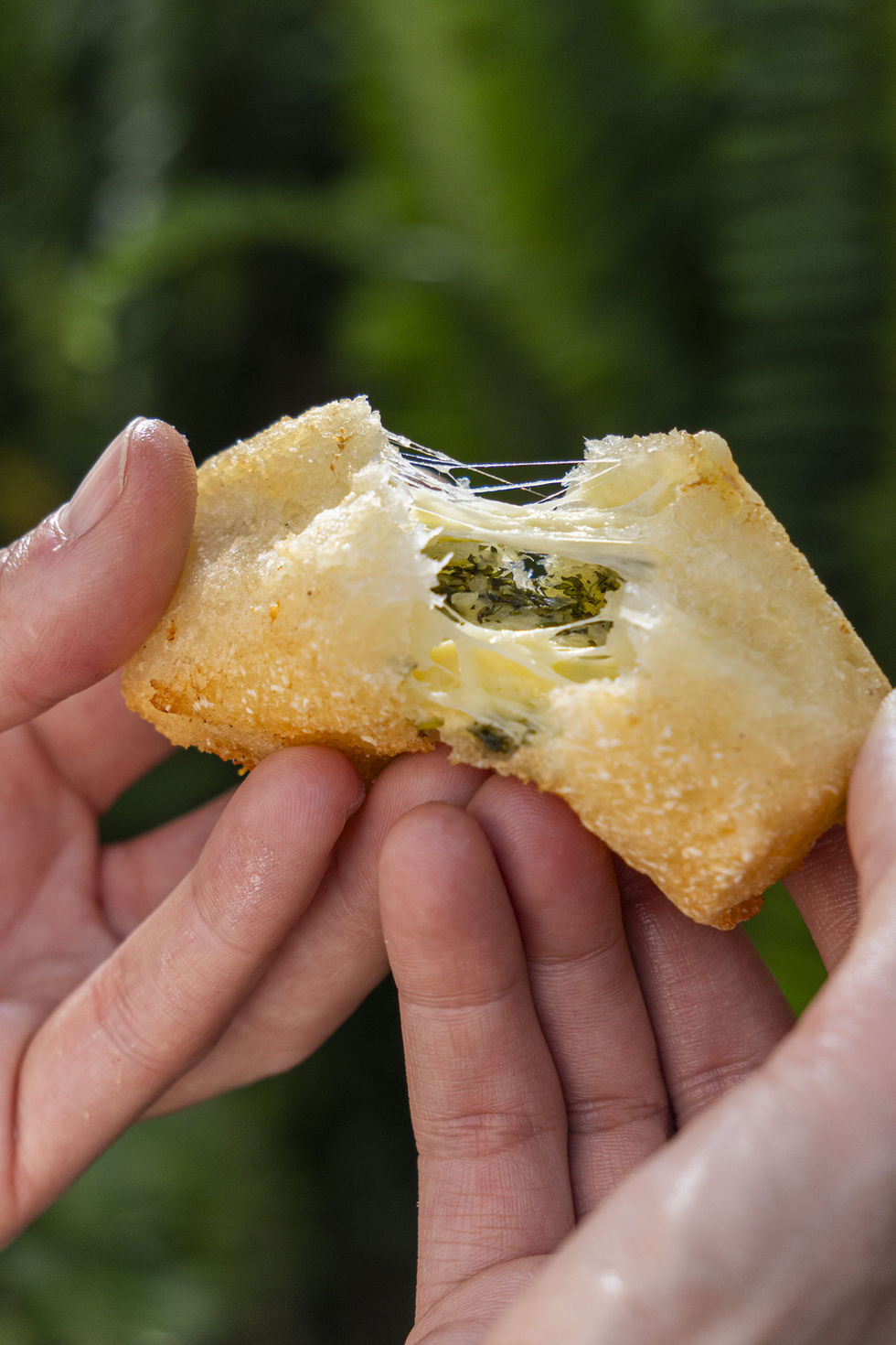 Muchín de Yuca