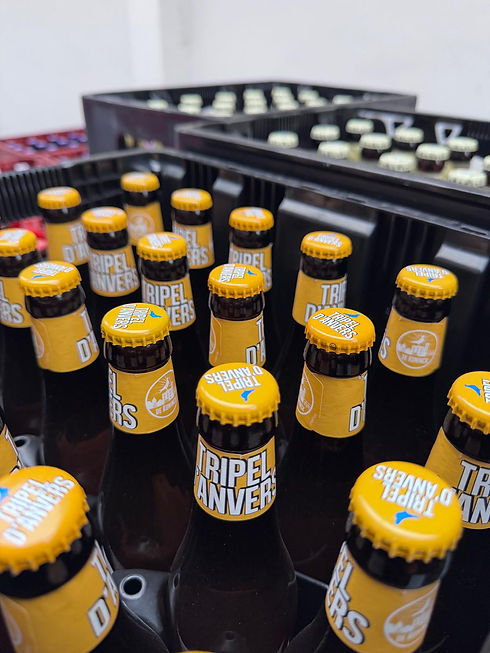 WhatsApp Image 2025-11-30 at 22.48.57.jpeg