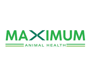 max gut health_edited.jpg