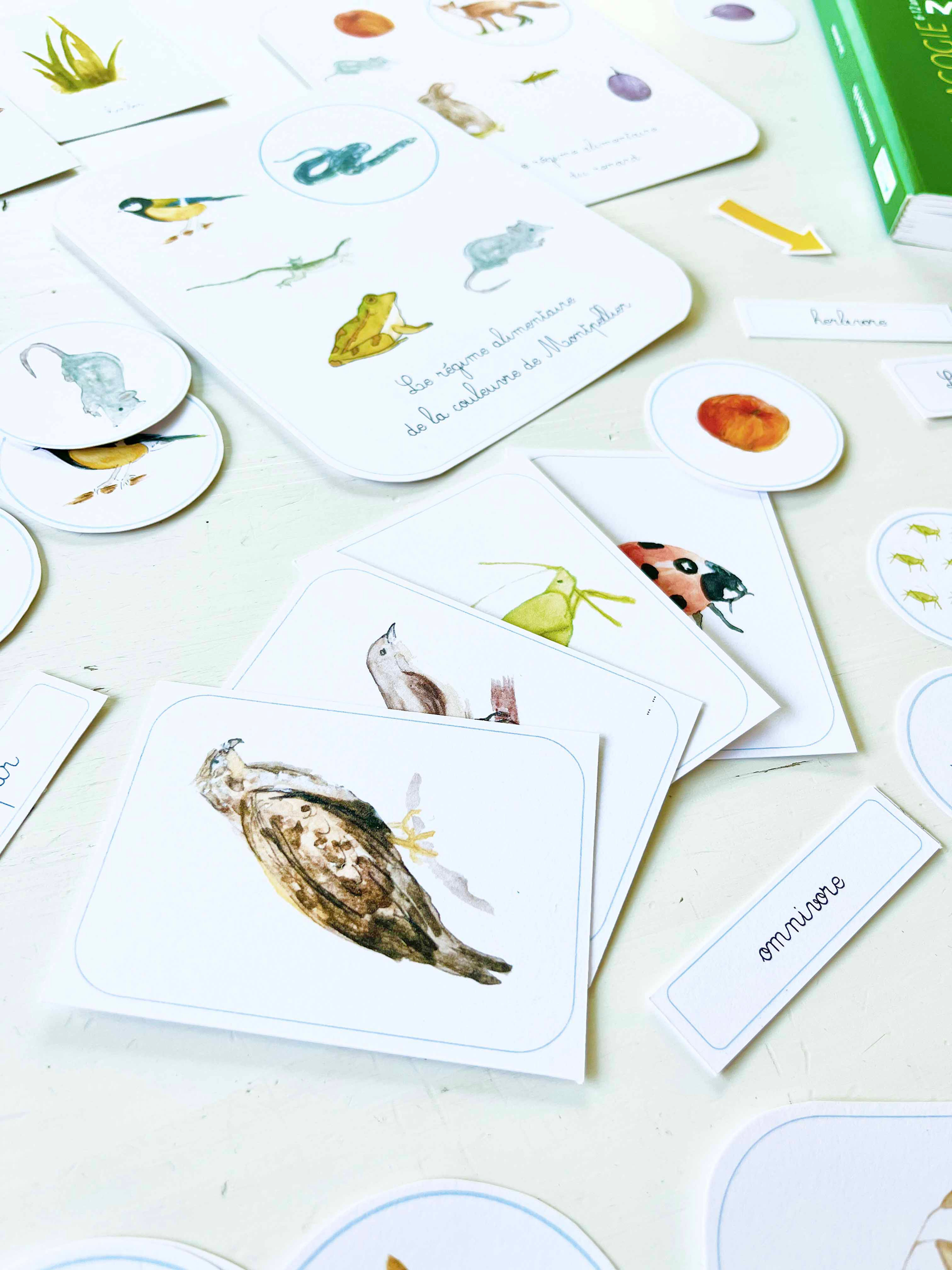 Les Chaînes Alimentaires - Fichier à imprimer