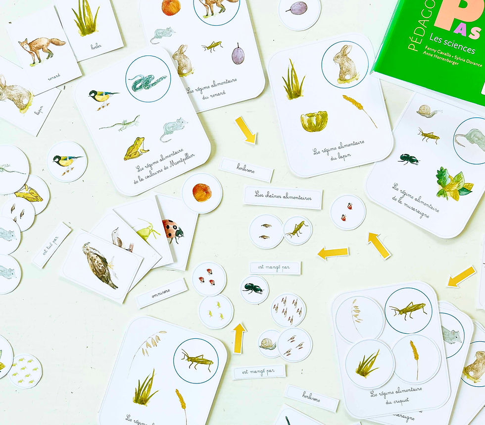 Miniature : Les Chaînes Alimentaires - Fichier à imprimer