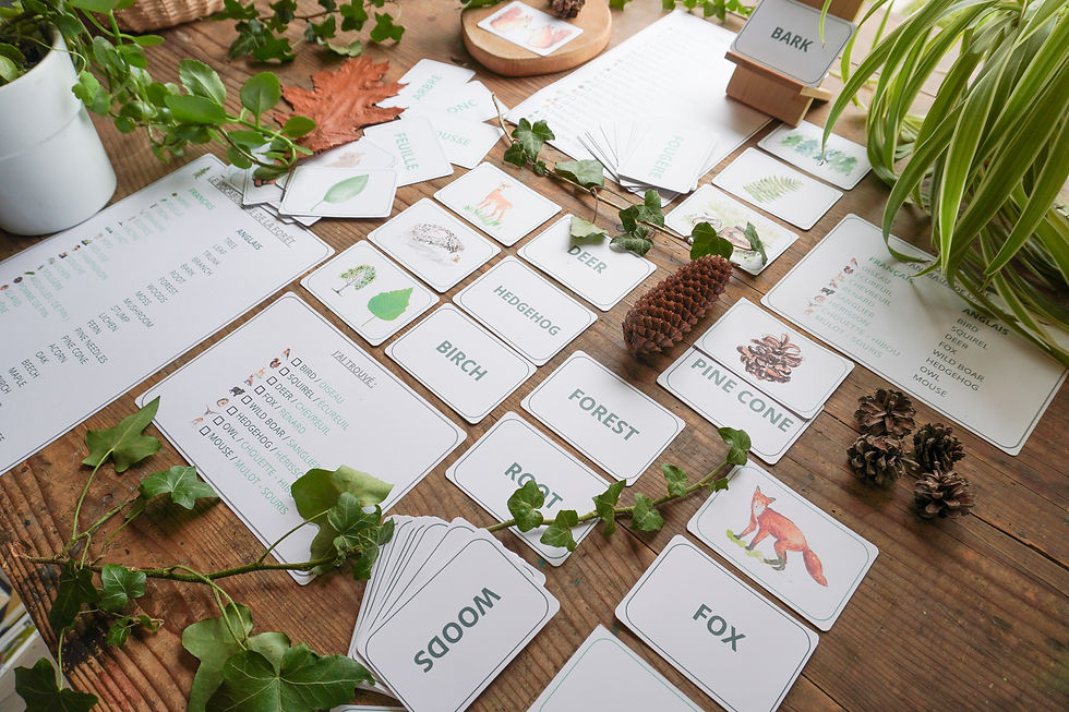 Miniature : Forest Words - Jeu d'anglais en forêt