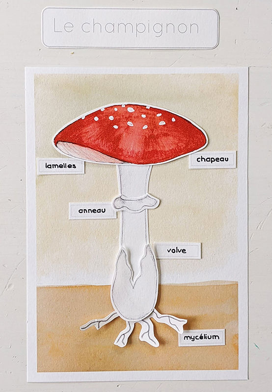 Miniature : Le Champignon - Fichier à imprimer