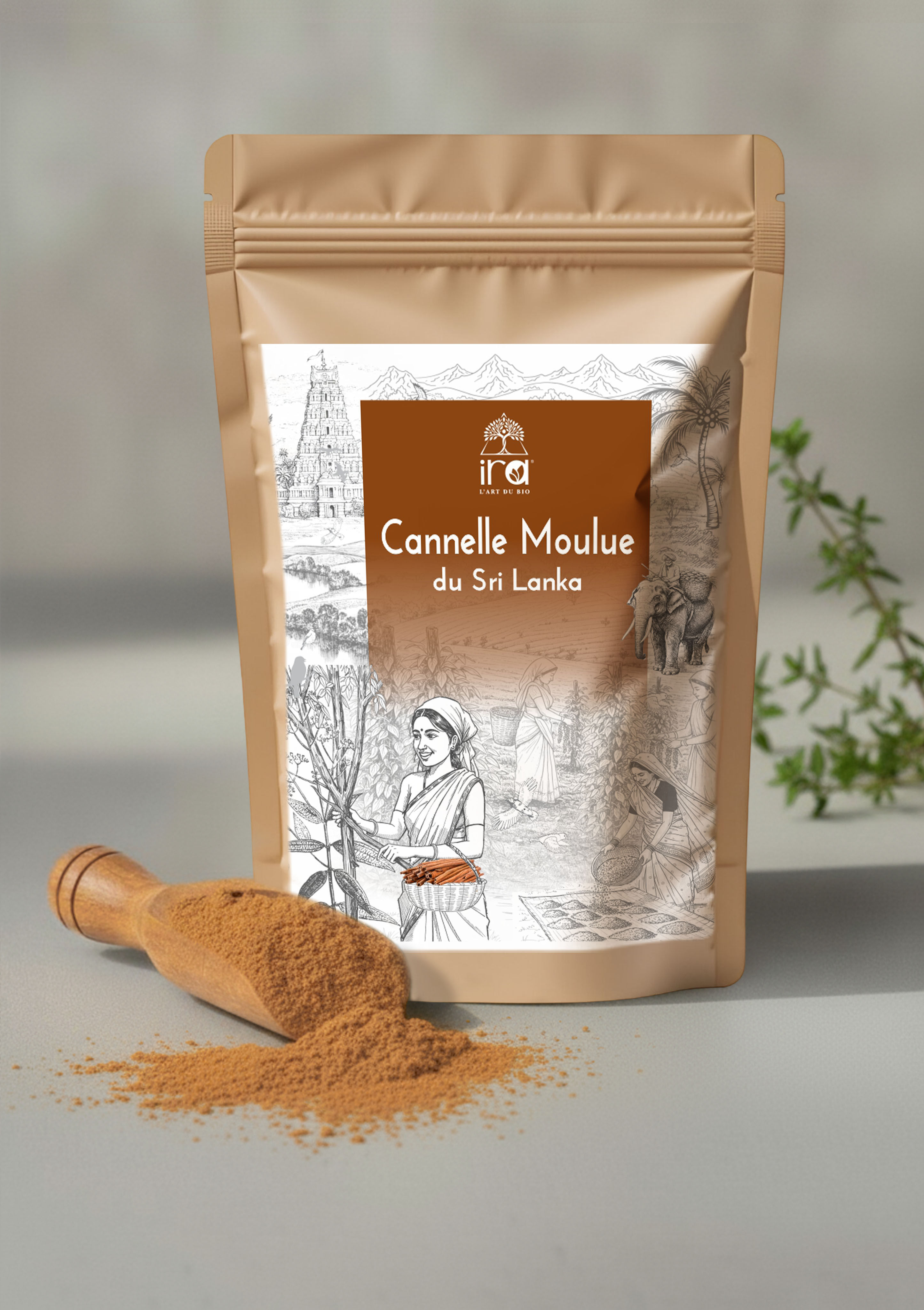 Cannelle de Ceylan