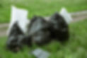 close-up-trash-bags-filled-with-trash-after-cleaning-environment (2).jpg
