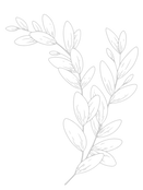 Bella Bewitched florals2_edited_edited_edited.png