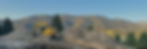 Excavator