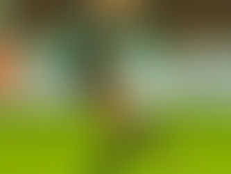 Uutiset: Maija Meronen jatkaa