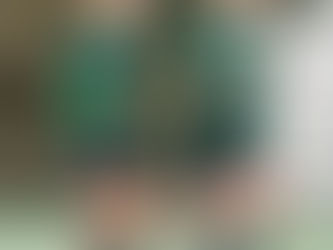 Vaasa ja glada vappen