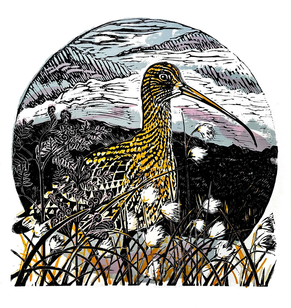 Jo Wright NEW