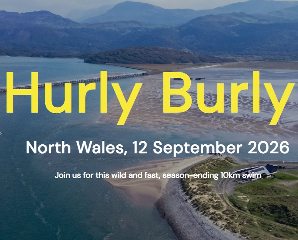 Hurly Burly
