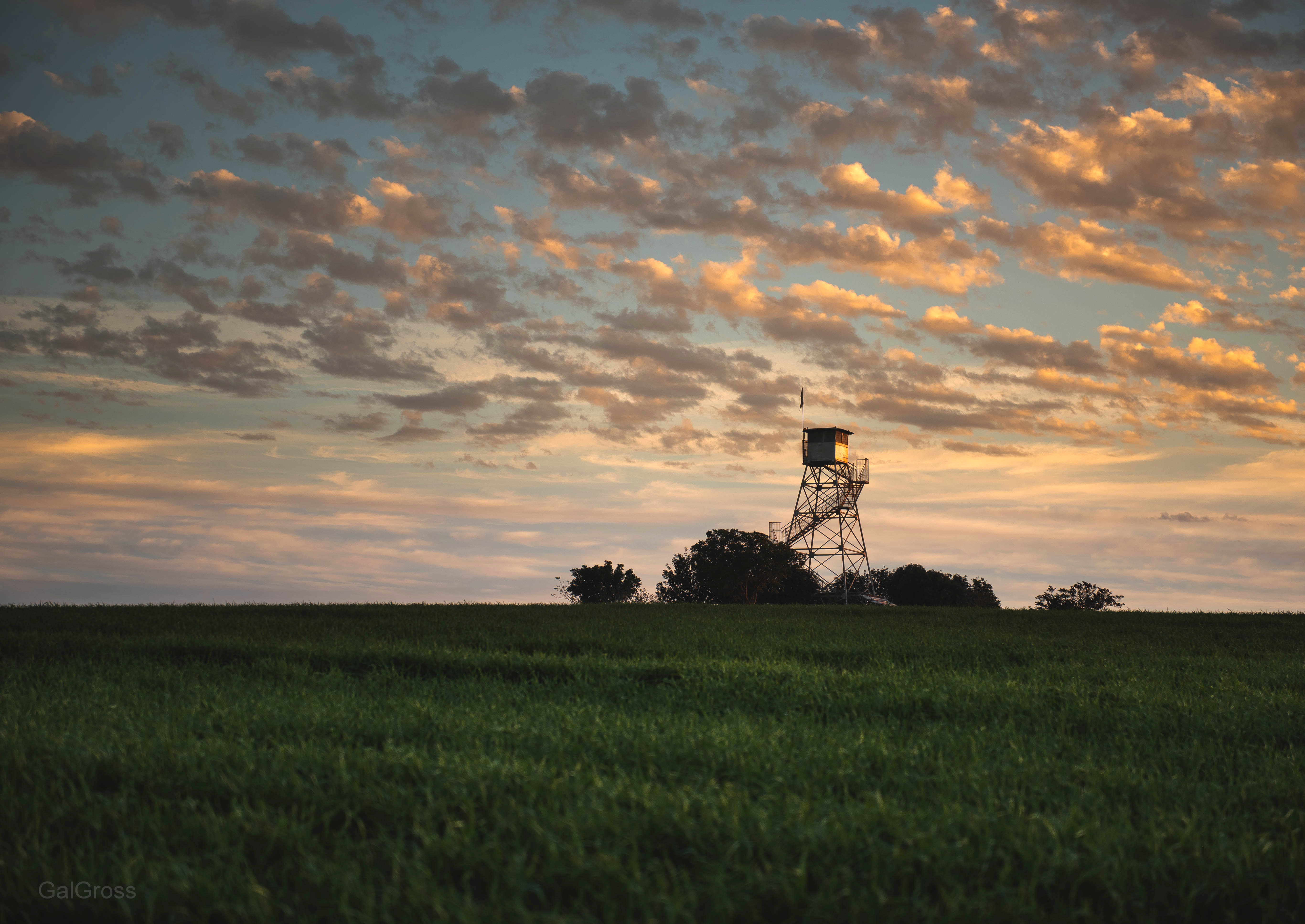 The Tower