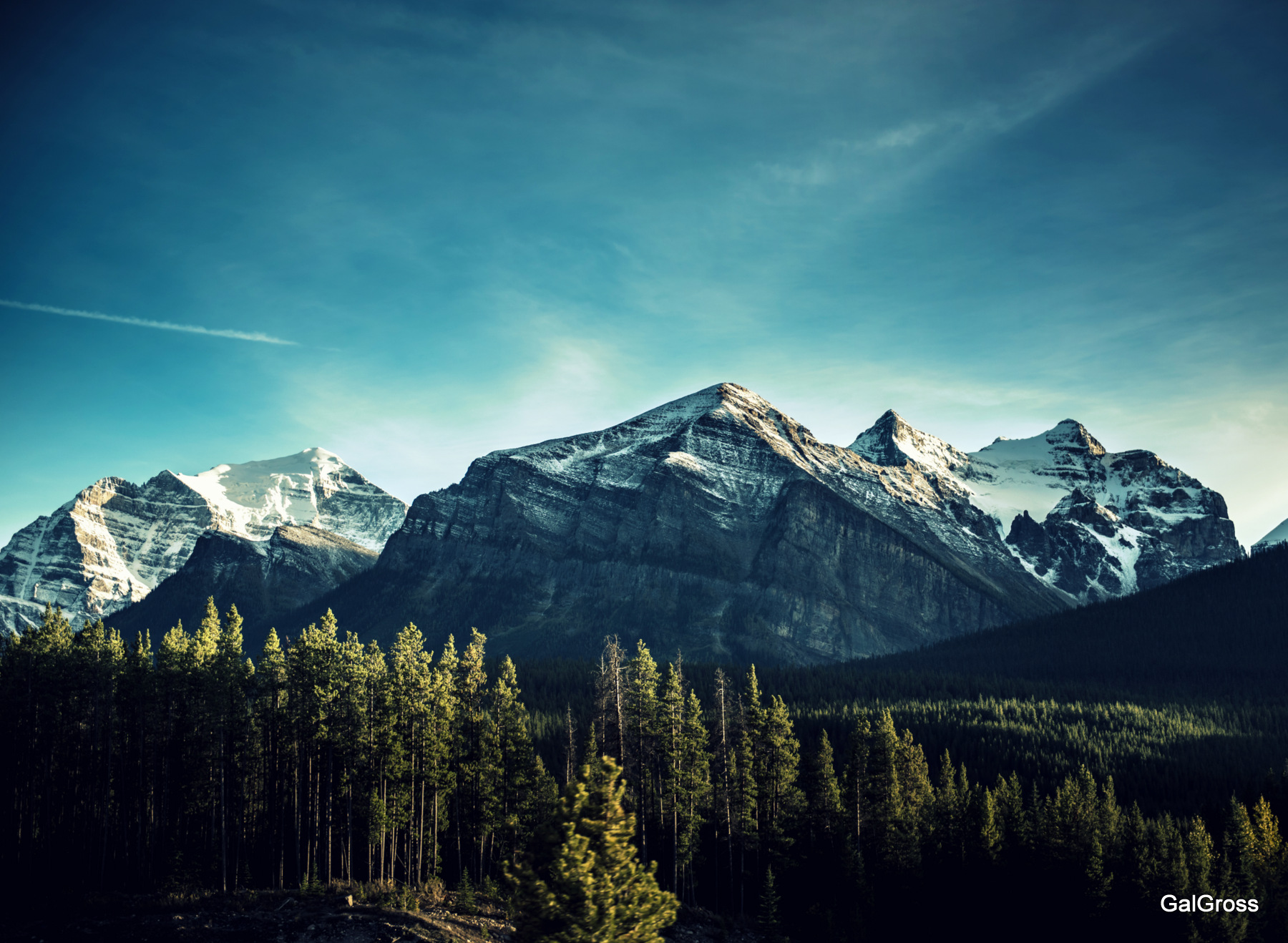 Rockies