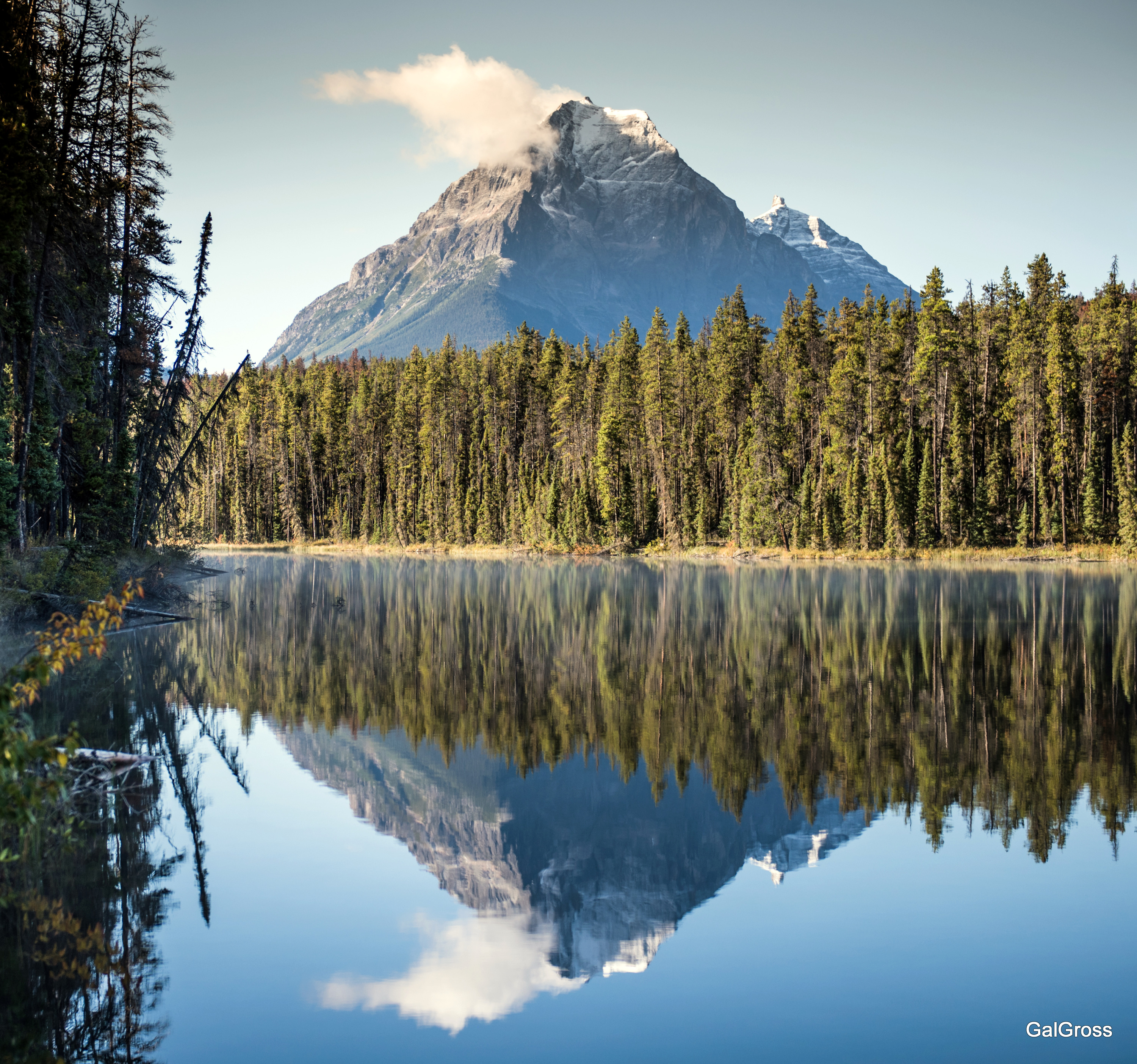 Reflection