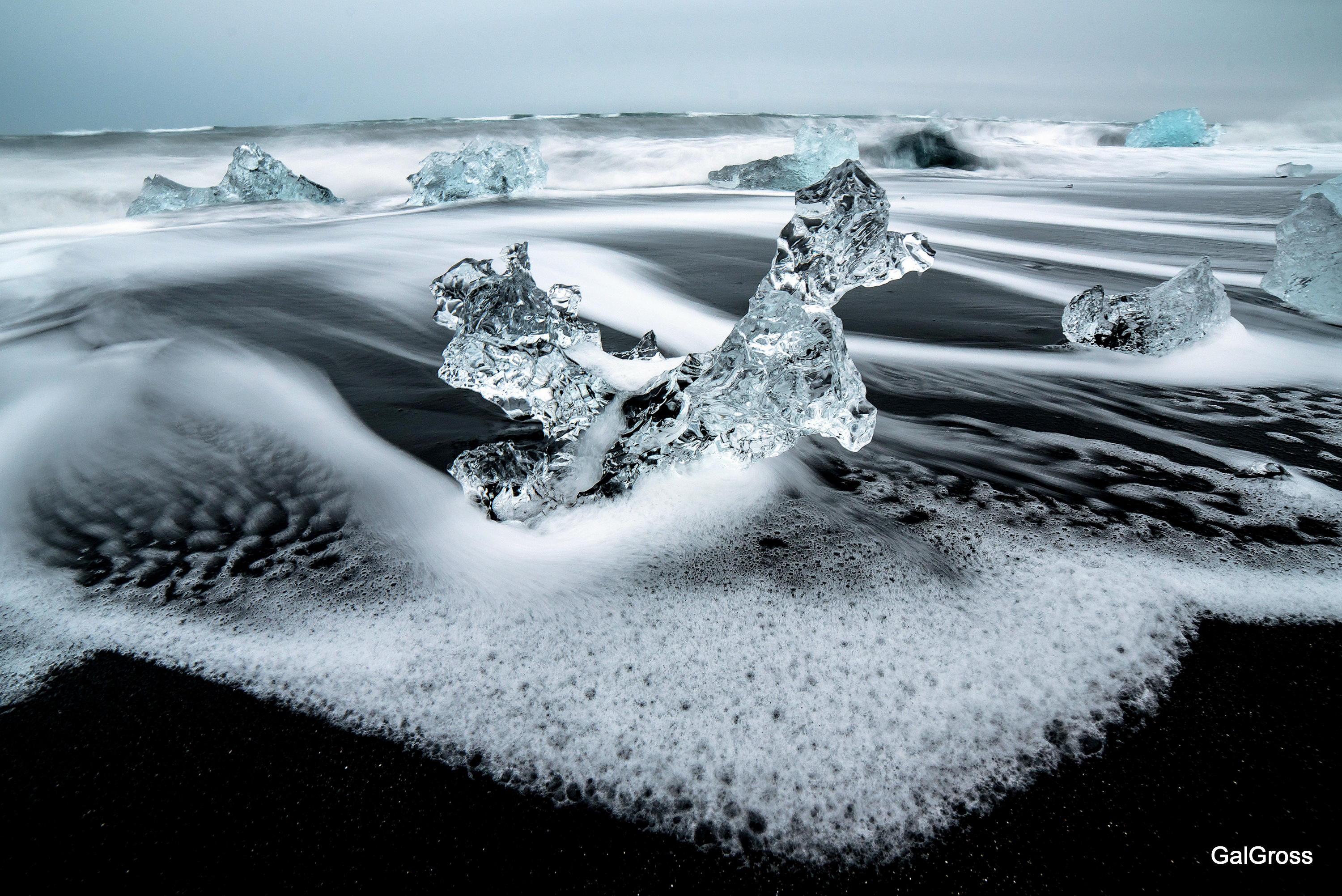 Ice Poodle