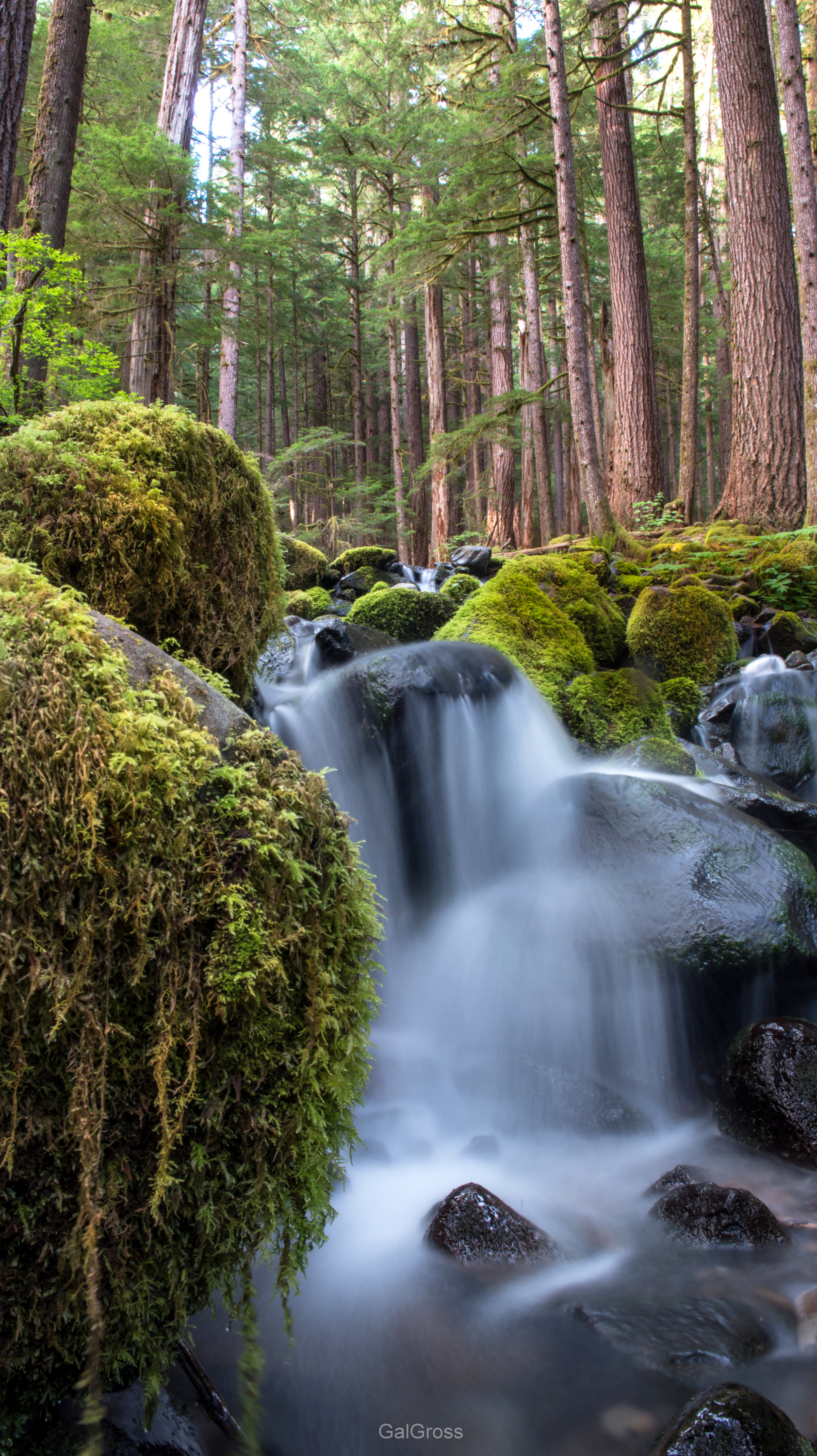 Sol Duc Falls