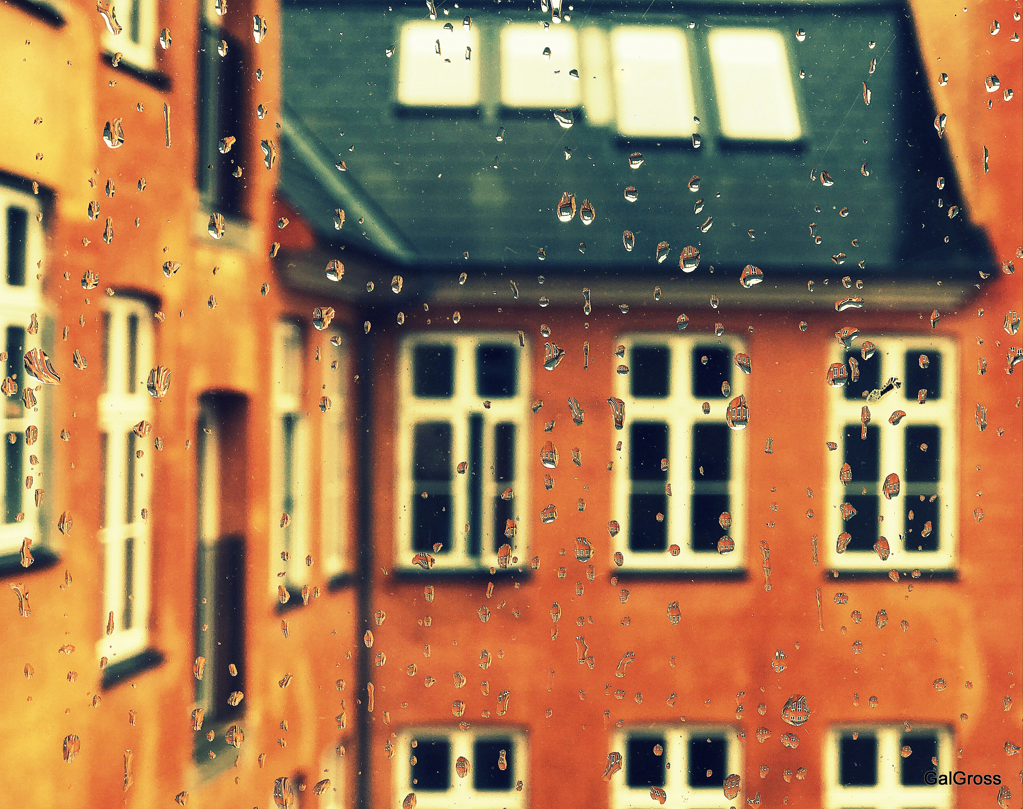 Windows