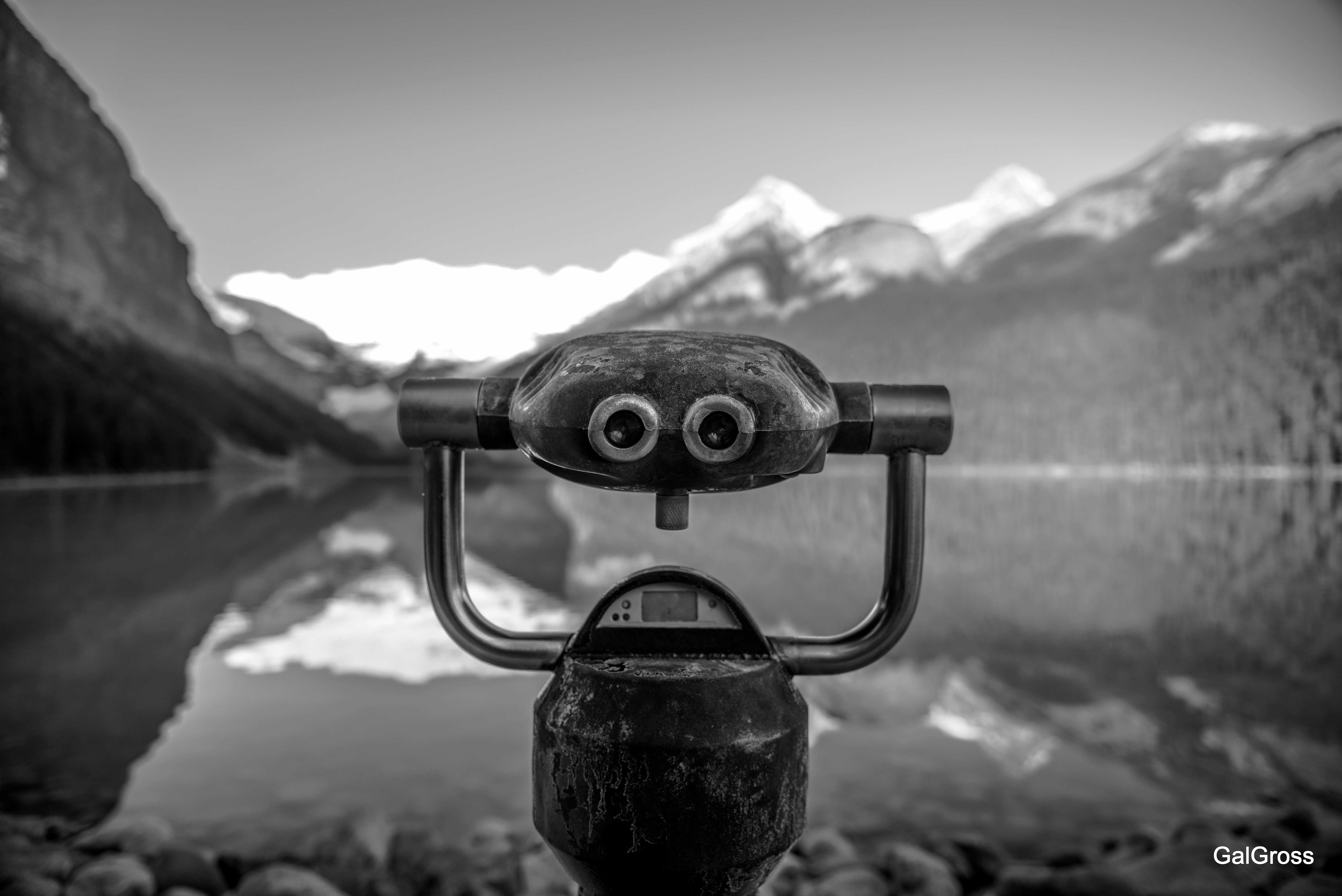 Look me in the eyes
