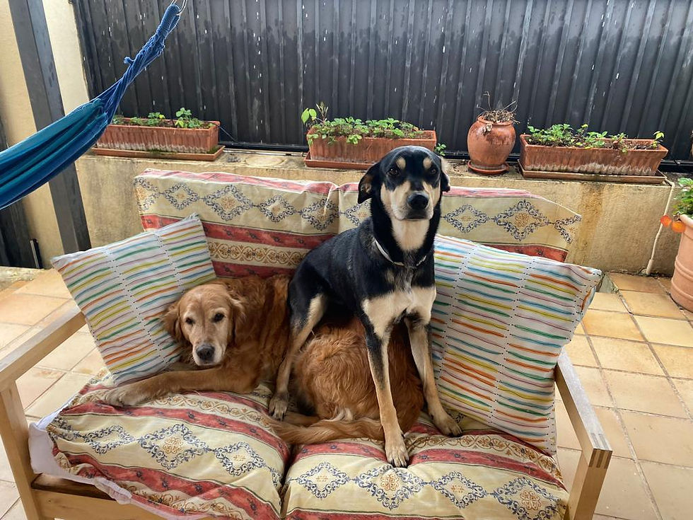 Rumba y Kiara
