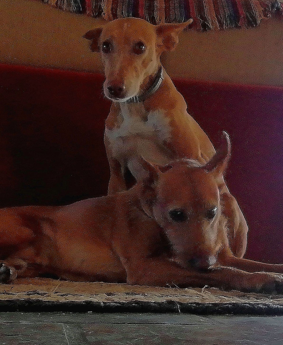 Paca y Antonio