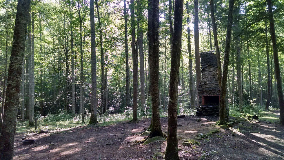 Great Smoky Mountains