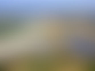 Dream the Impossible (Yet Practical) Dream