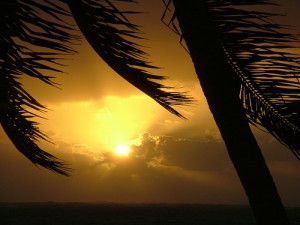 A Journey of A Thousand Miles Begins with a Single Roadmap