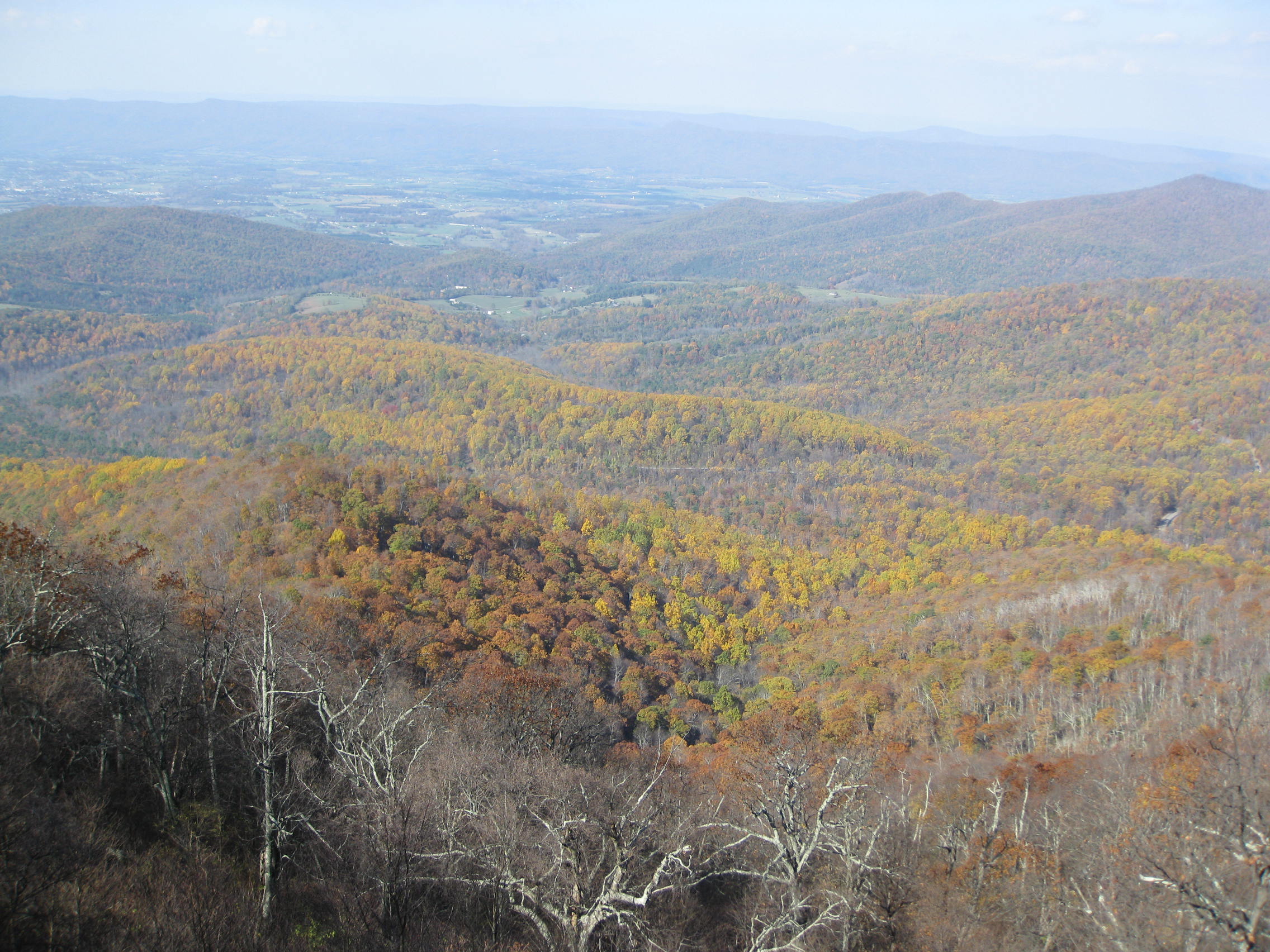 October 2010